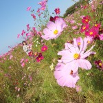 DSCF1656