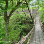 ikeda4