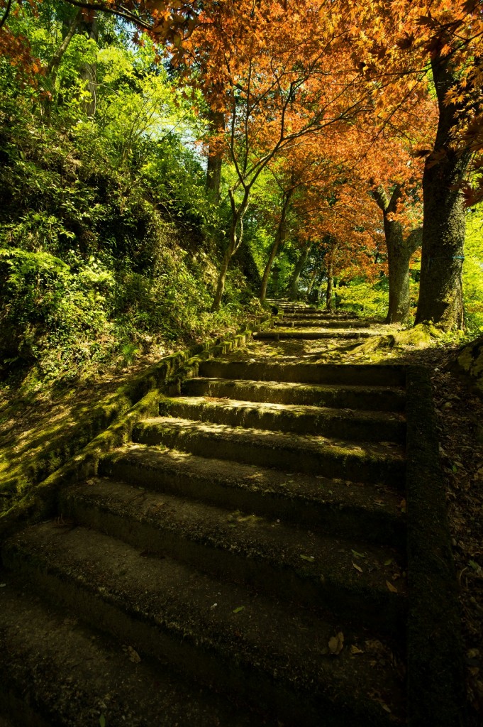 PENTAX K-3 / SIGMA 10-20mm F4-5.6 EX DC 