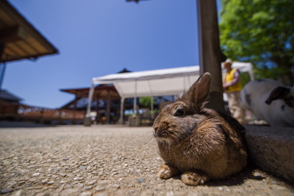 PENTAX K-1-1377