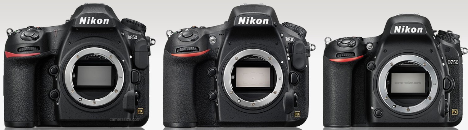 ニコン100周年の旗艦モデル Nikon D850 最新情報まとめページ - とるなら 写真道楽道中記