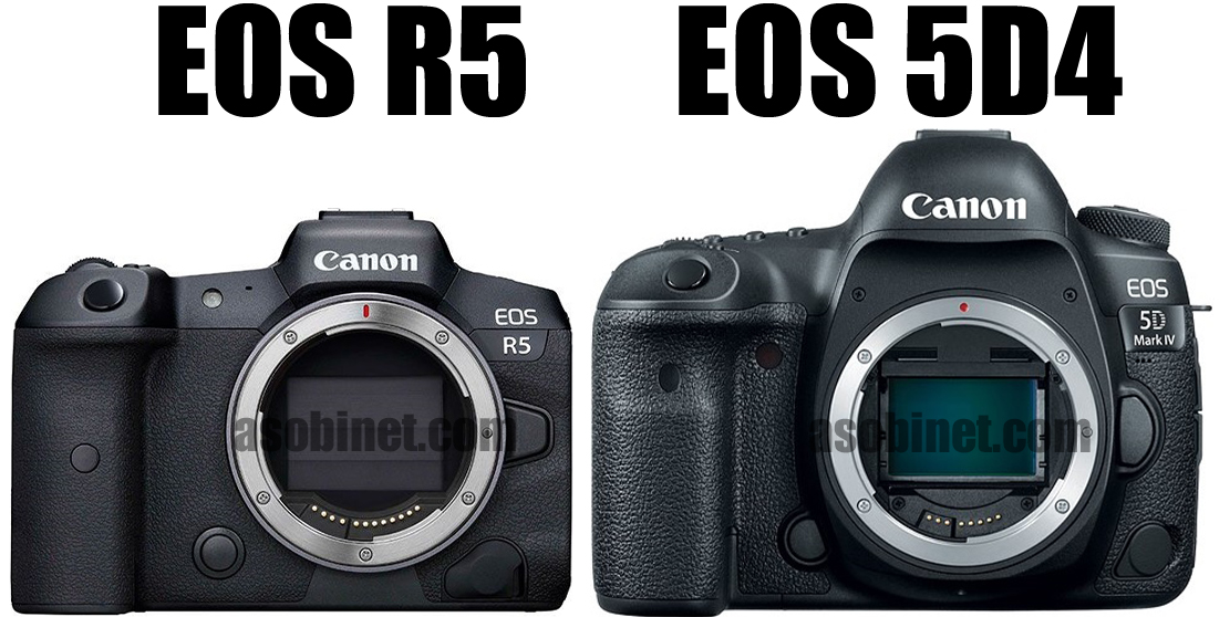 EOS R5と5D Mark IVの比較