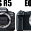 EOS R5とEOS Rの比較