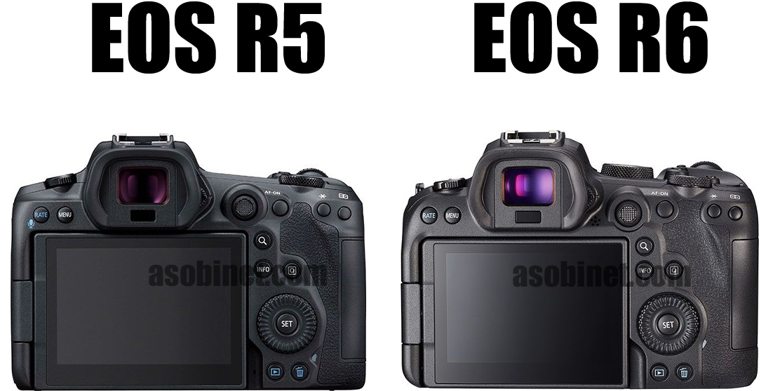 EOS R6とR5の比較