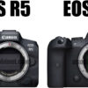 EOS R6とR5の比較