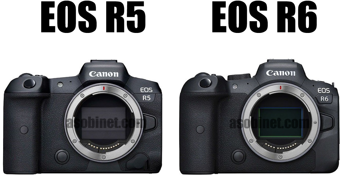 EOS R6とR5の比較