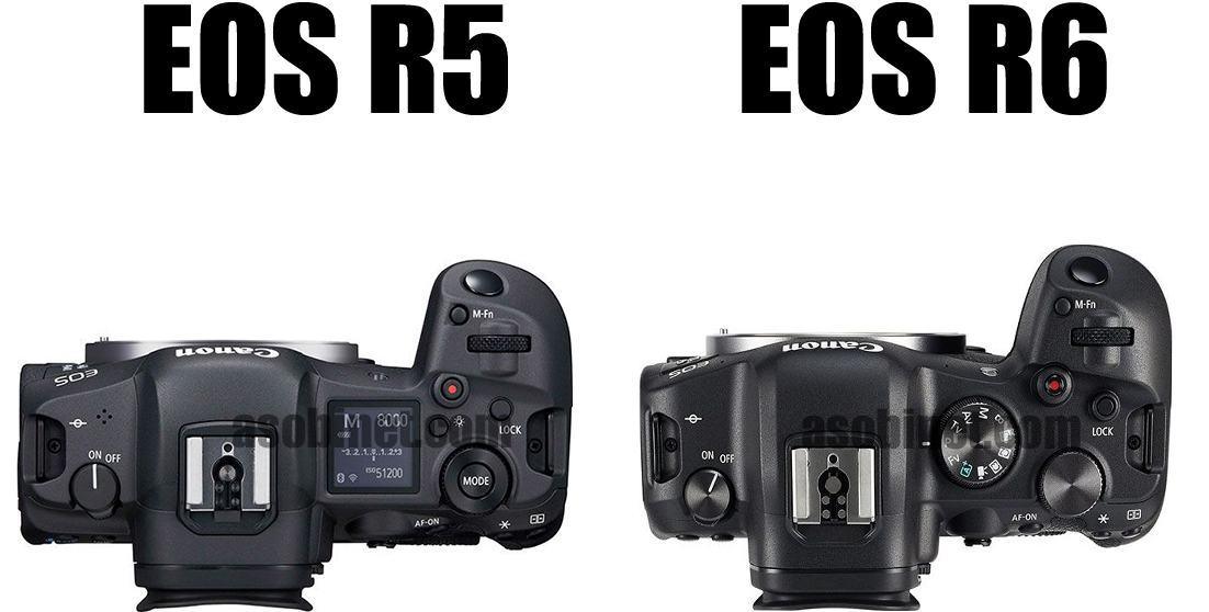 EOS R6とR5の比較