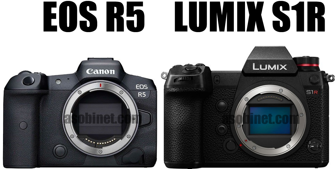 EOS R5とLUMIX S1Rの比較