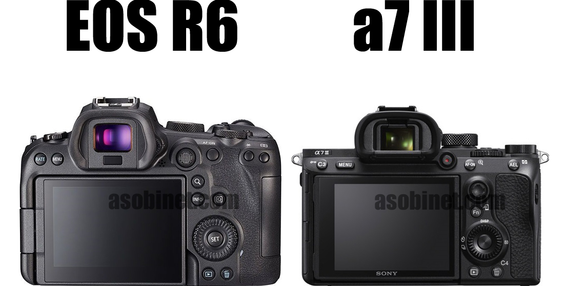 EOS R5とα7 IIの比較