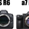 EOS R5とα7 IIの比較