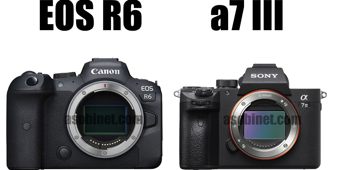 EOS R5とα7 IIの比較