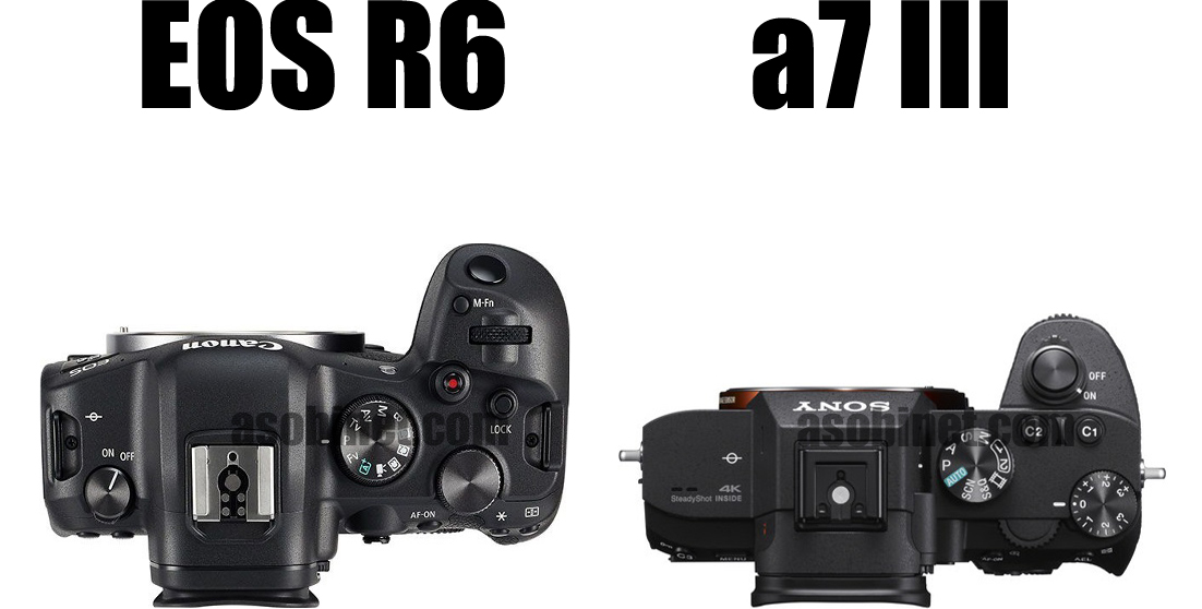 EOS R5とα7 IIの比較