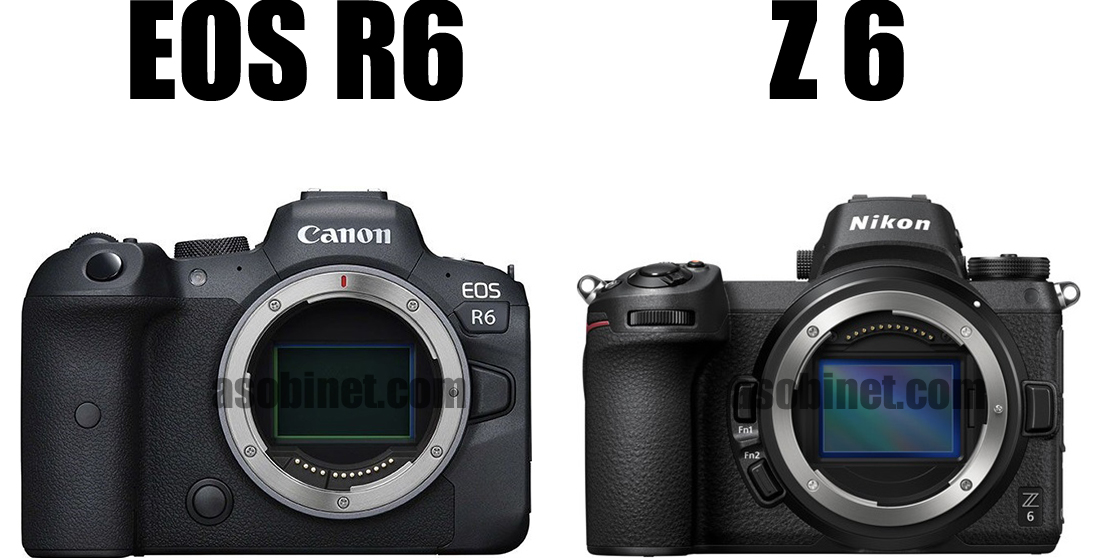 EOS R6とZ 6の比較