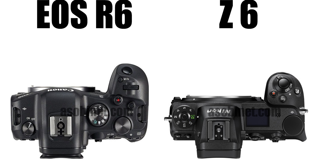 EOS R6とZ 6の比較