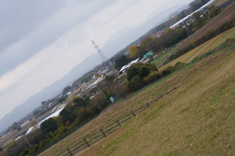 After image