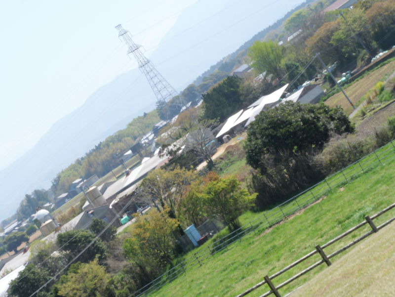 After image