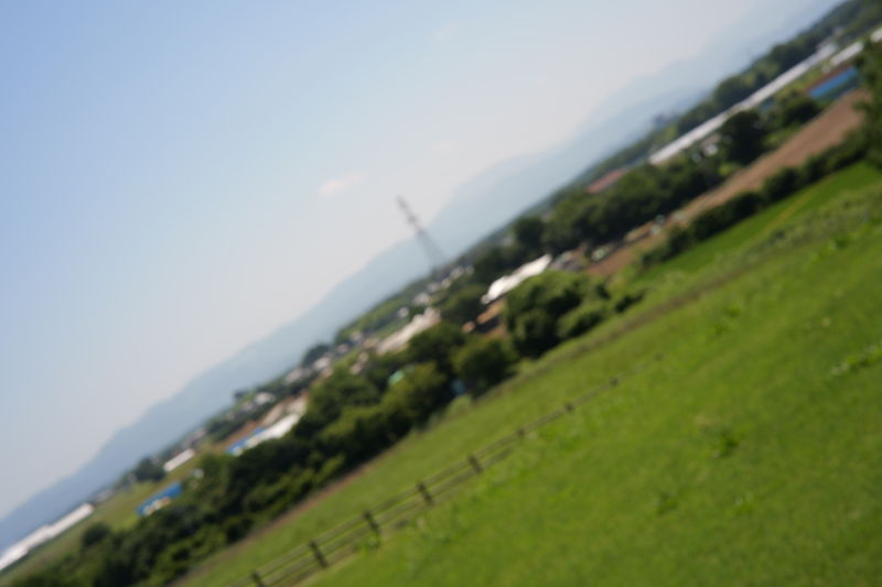 Before image