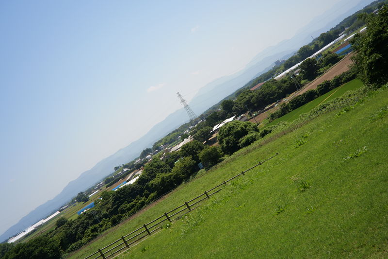 After image