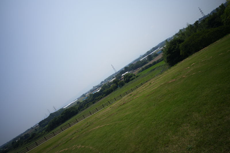 Before image