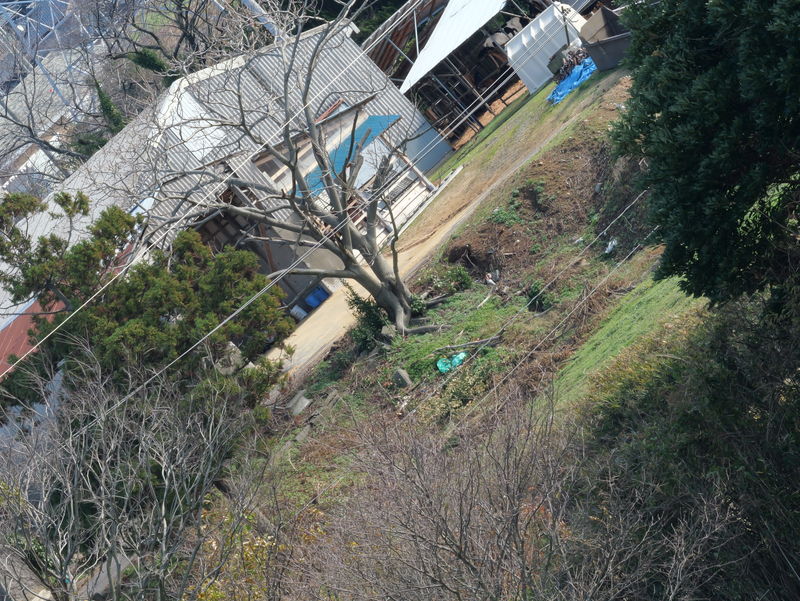After image