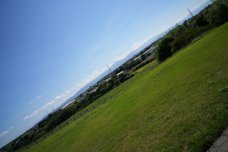 After image